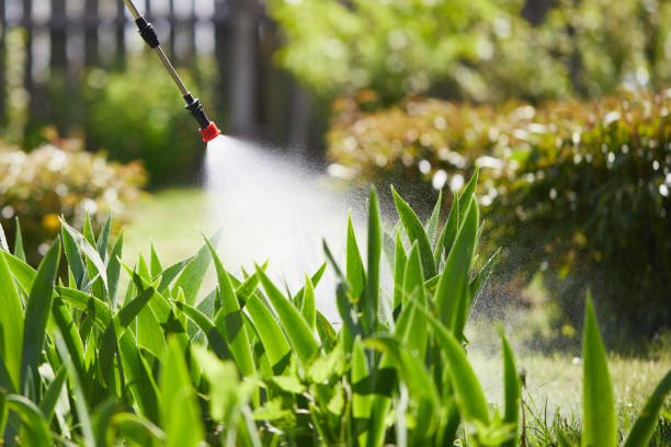 24/7 Emergency Mosquito Control experts in Armonk, NY